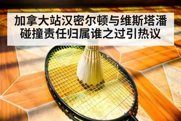 加拿大站汉密尔顿与维斯塔潘碰撞责任归属谁之过引热议