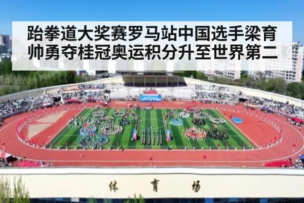 跆拳道大奖赛罗马站中国选手梁育帅勇夺桂冠奥运积分升至世界第二